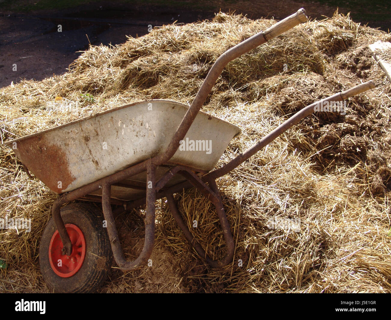 manure heap Stock Photo Alamy