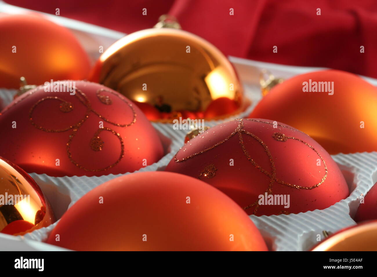 celebrate reveling revels celebrates advent mood party celebration