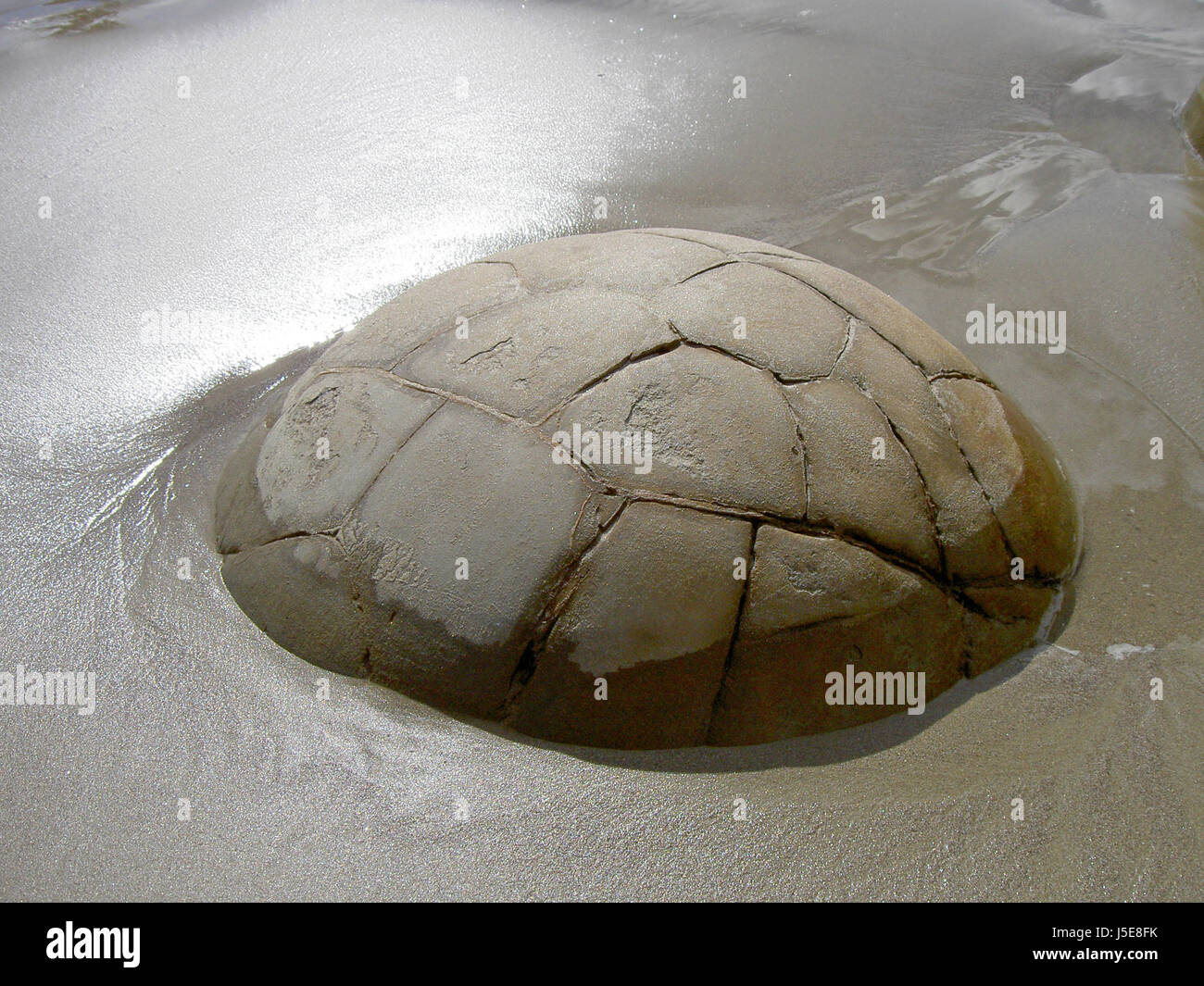stone beach seaside the beach seashore rock sightseeing new zealand ...