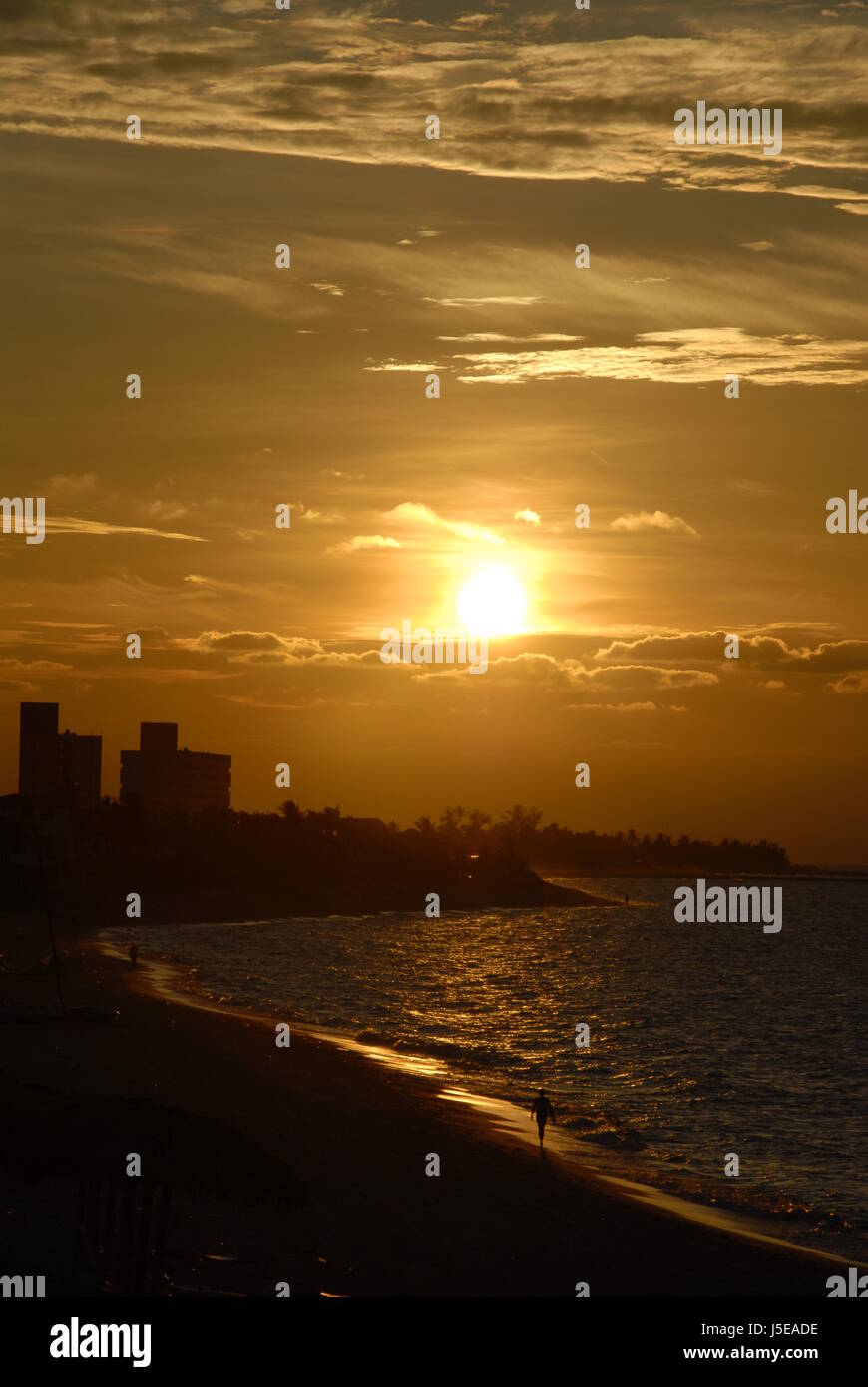 holiday vacation holidays vacations night nighttime night photograph