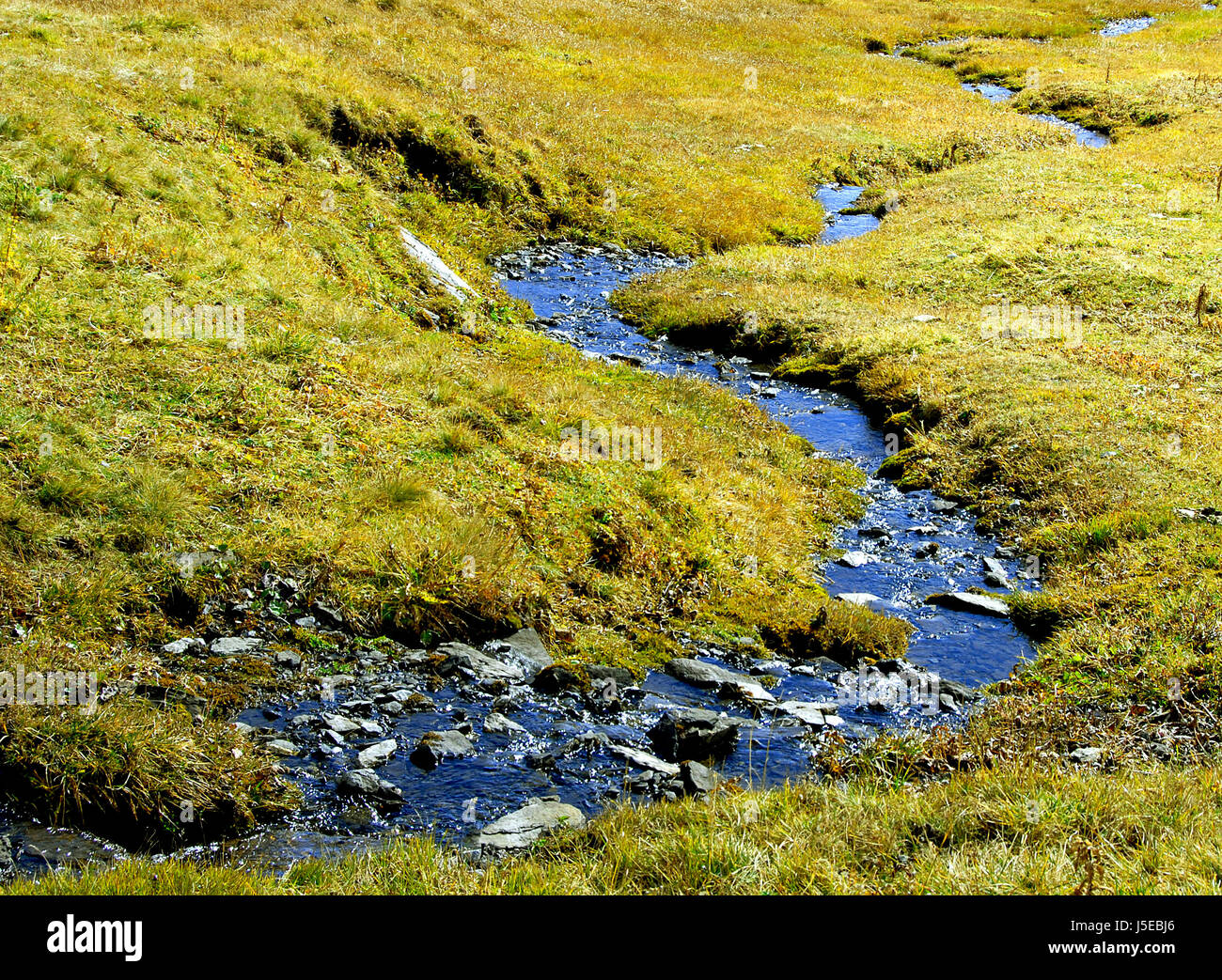 bucolic agriculture farming alp stream loneliness peace seclusion farmer Stock Photo