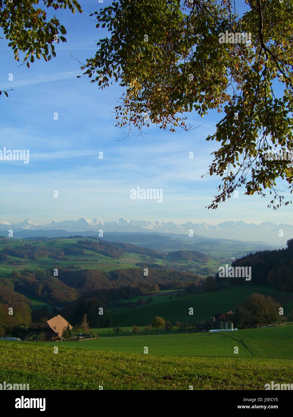 views of the bernese alps Stock Photo - Alamy