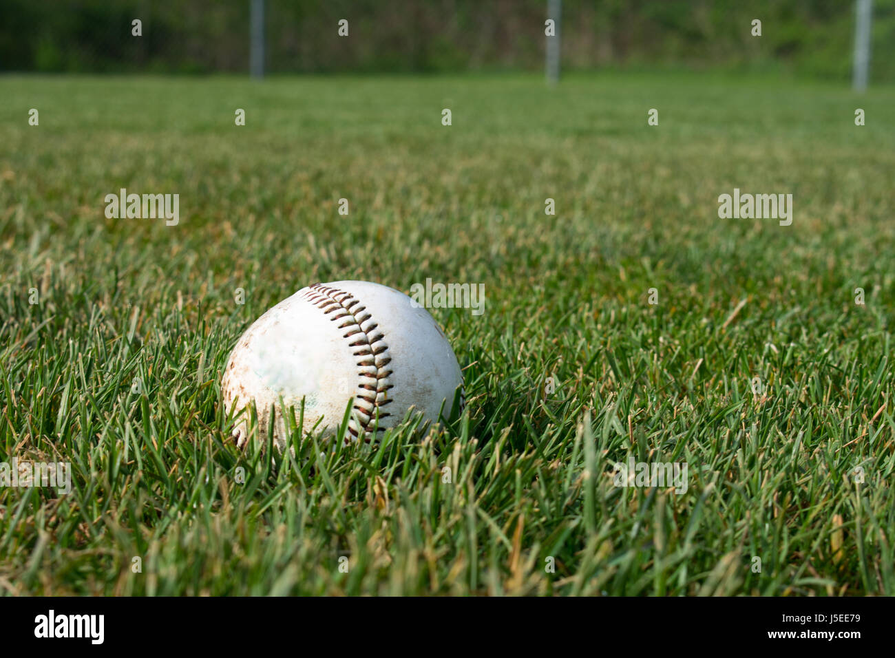 A baseball waiting play on the field. Stock Photo