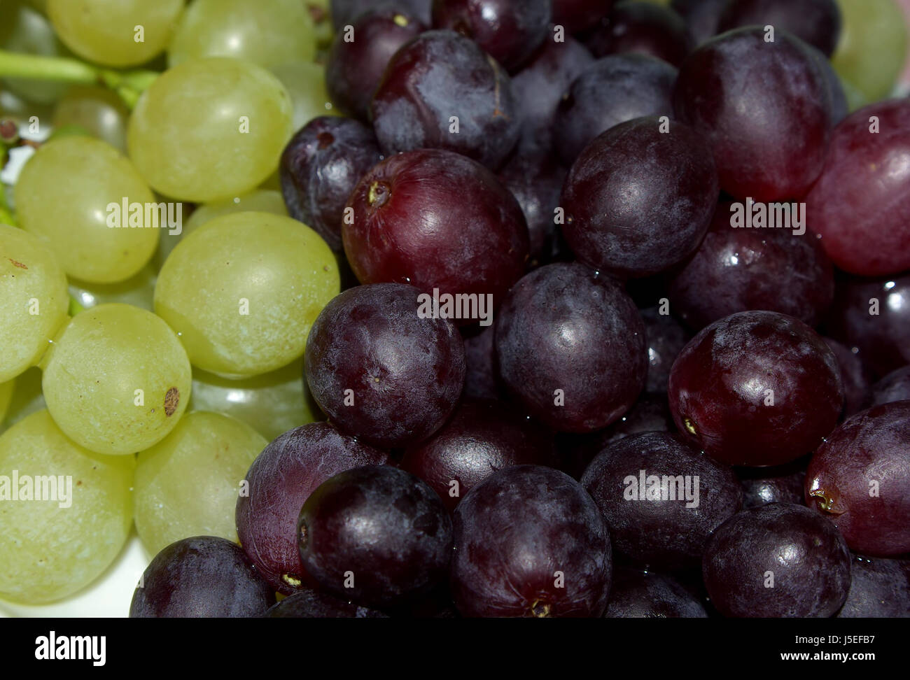 grapes progenies fruits vines climbing plant juice raw raisins grape