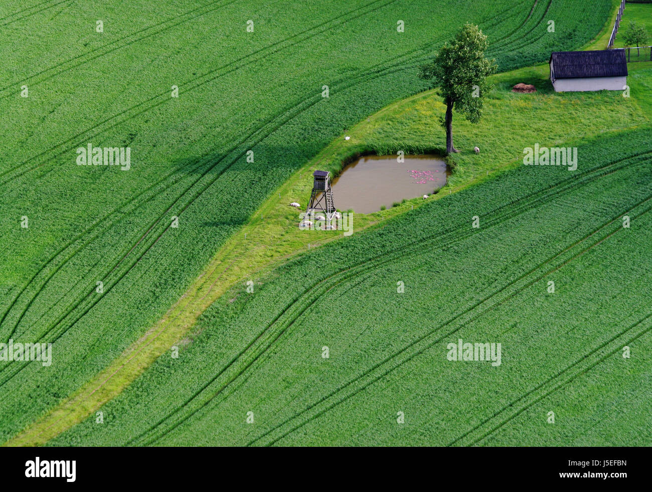 house building green agriculture farming fields meadows fresh water