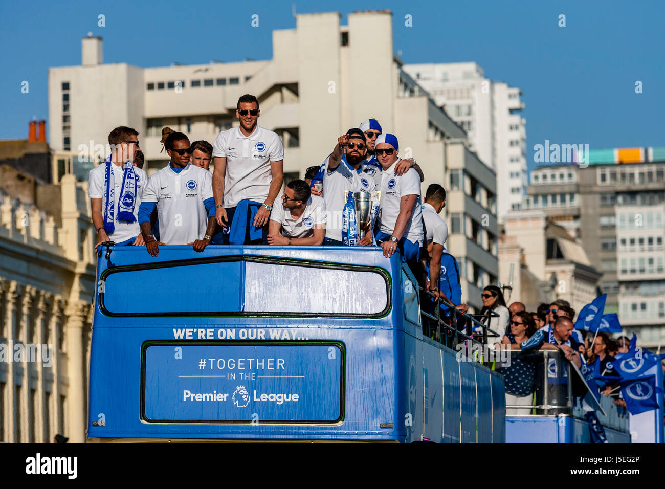32+ Brighton Fc Players Background