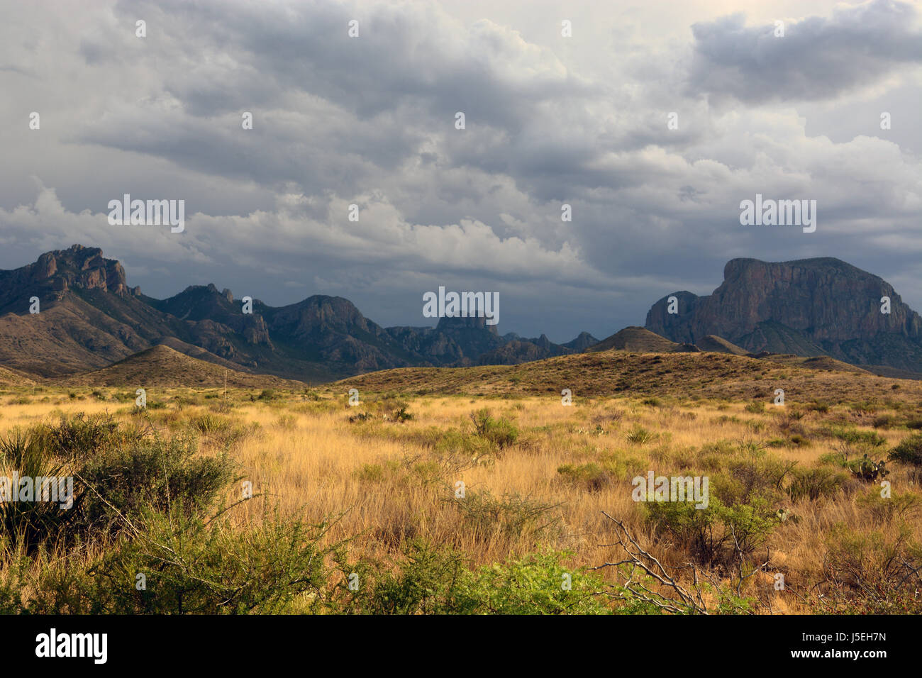 Storm clouds form over the Chisos Mountains in Big Bend National Park, Texas. Lightning from the May 13th storm is believed to have started a wildfire Stock Photo