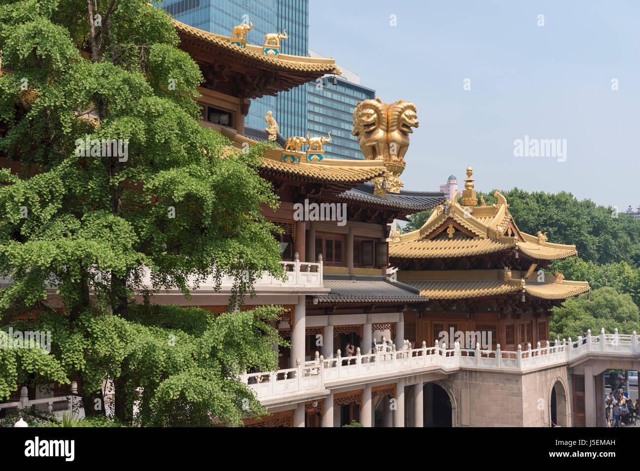 Jing'An buddhist temple in Shanghai, China with ornate buildings and gold lion guardian statue Stock Photo
