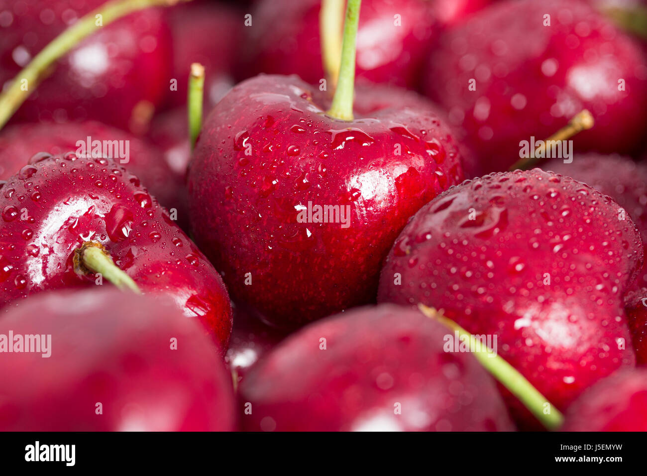 Red cherries with drop of water Stock Photo Alamy