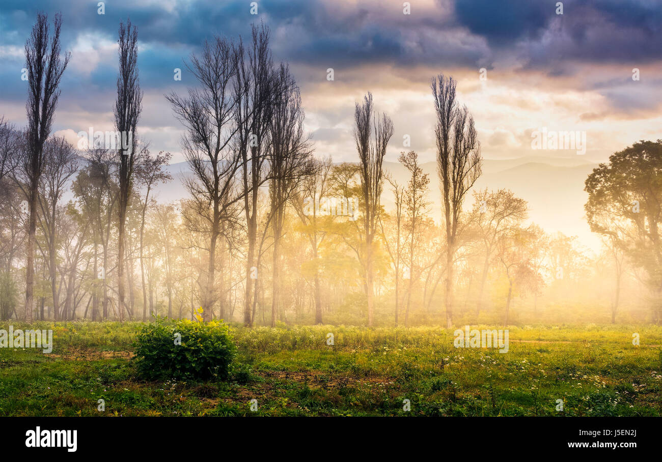 Mysterious landscape hi-res stock photography and images - Alamy