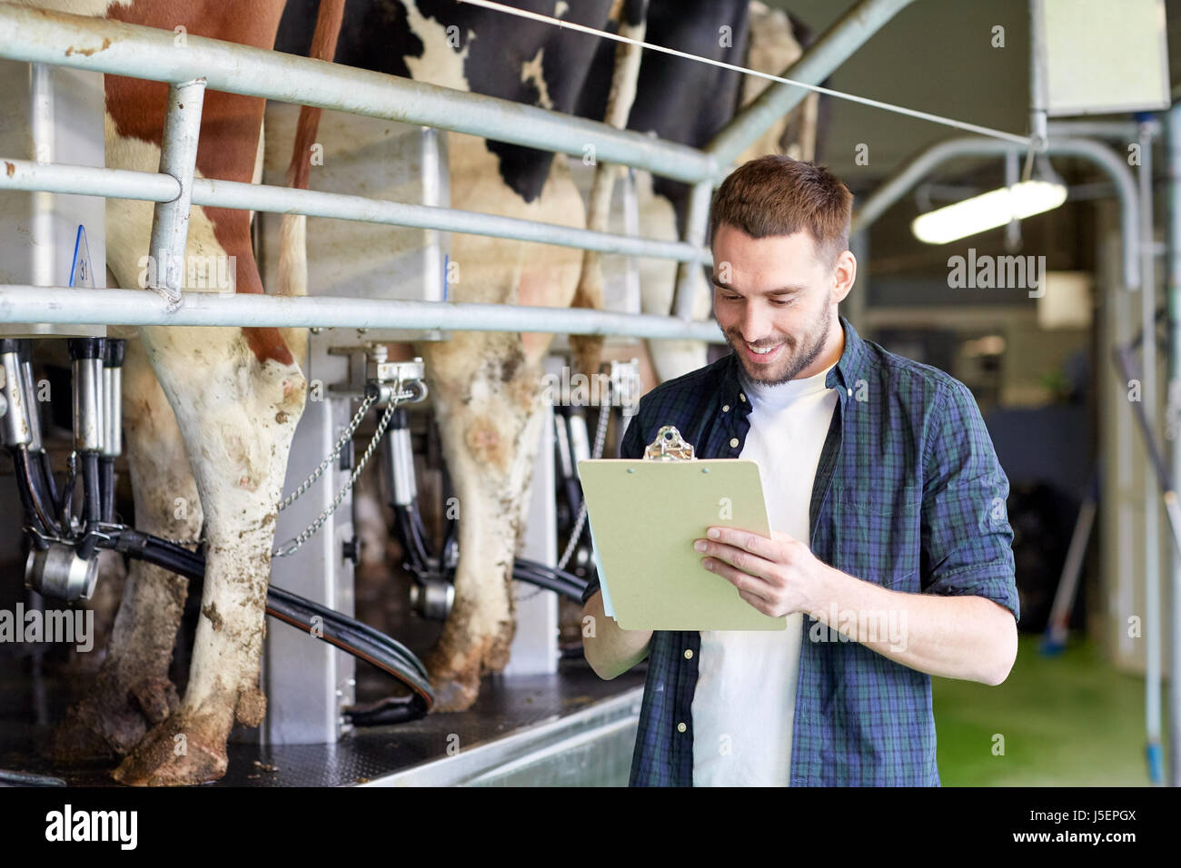 man with clipboard and milking cows on dairy farm Stock Photo - Alamy