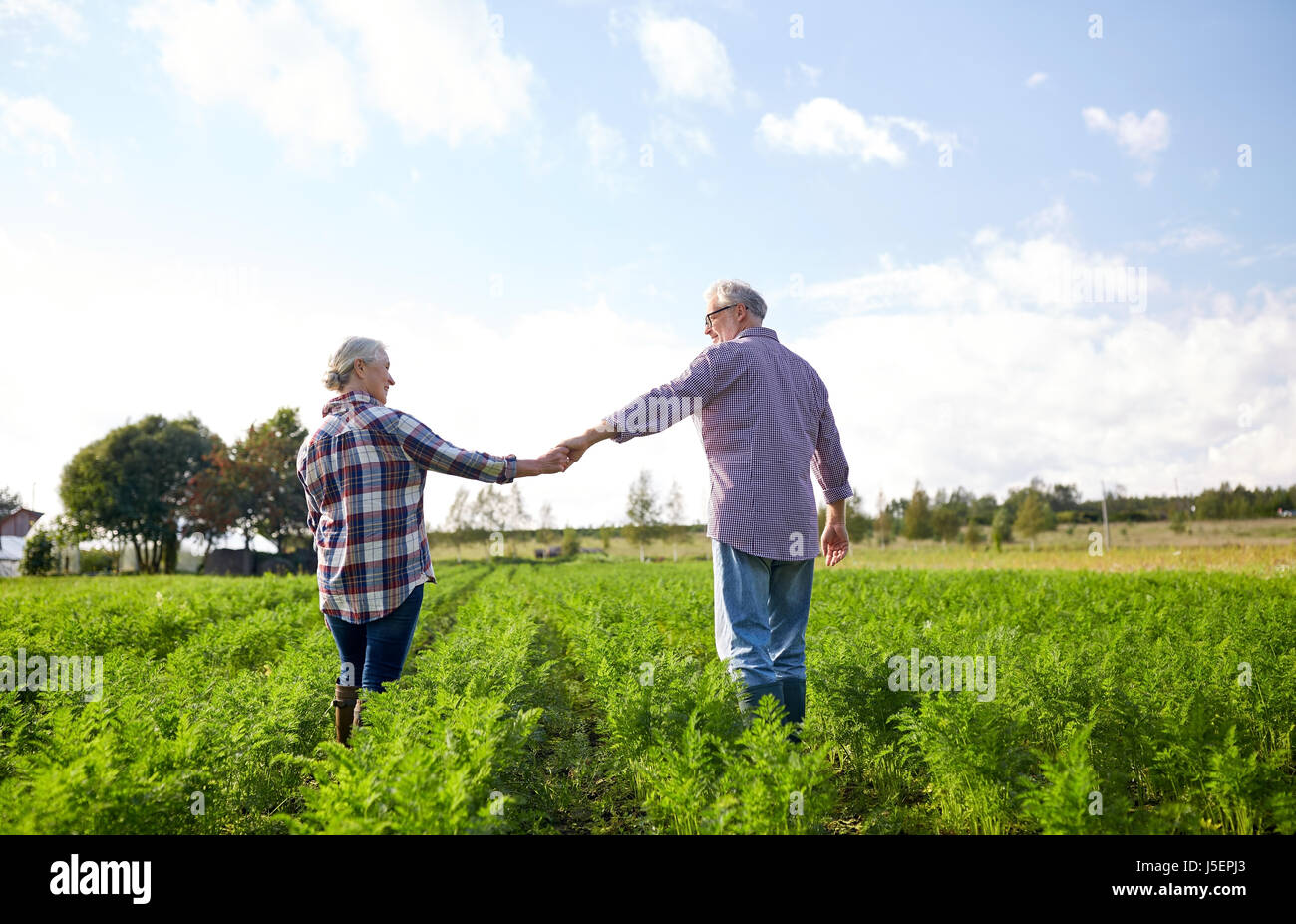 happy senior couple holding hands at summer farm Stock Photo - Alamy