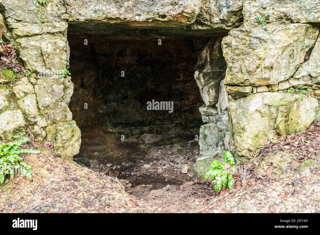 Entrance to old Bath stone quarry at Brown's Folly, Monkton Farleigh, Wiltshire Stock Photo Alamy