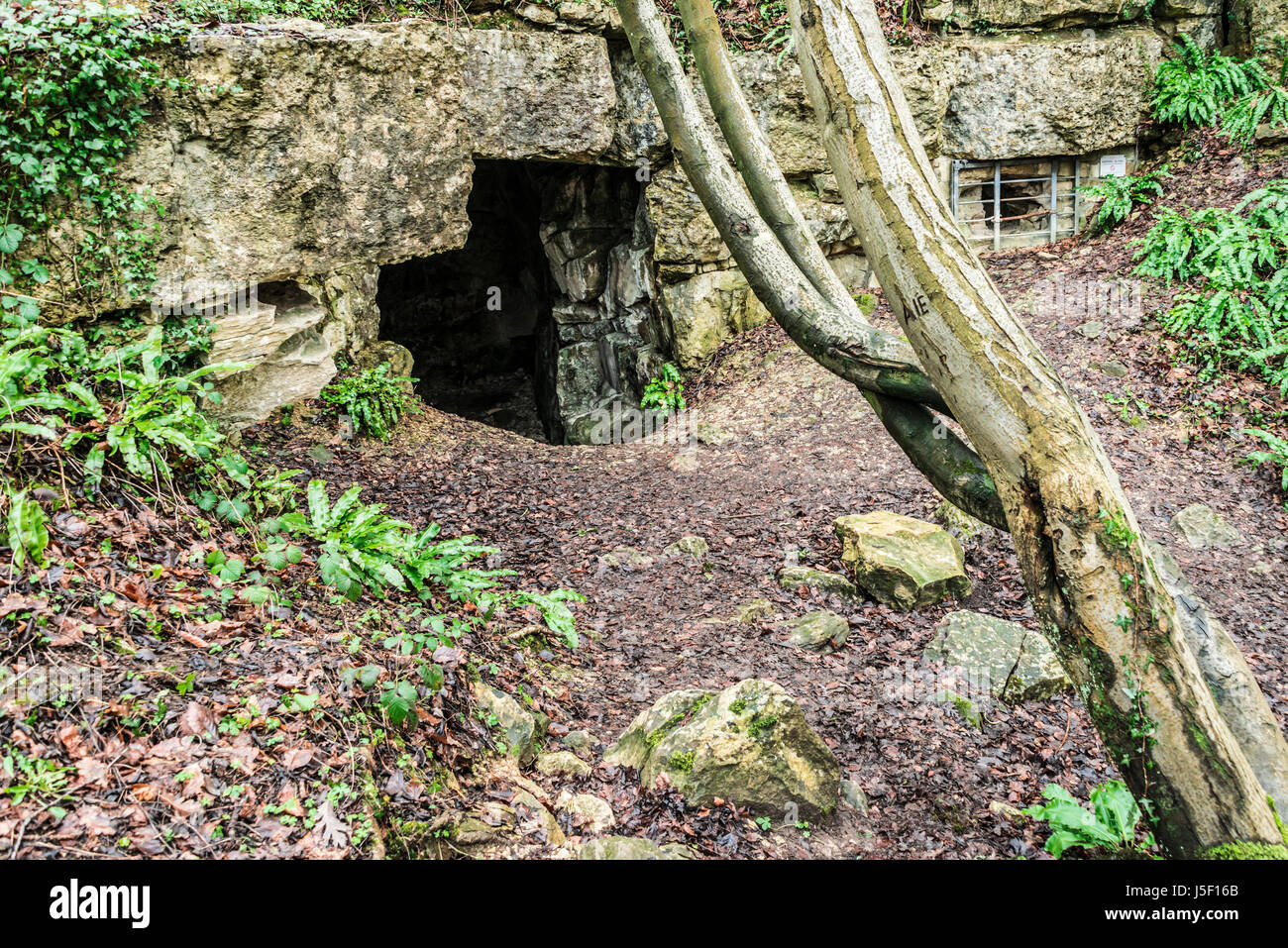 Entrance to old Bath stone quarry at Brown's Folly, Monkton Farleigh