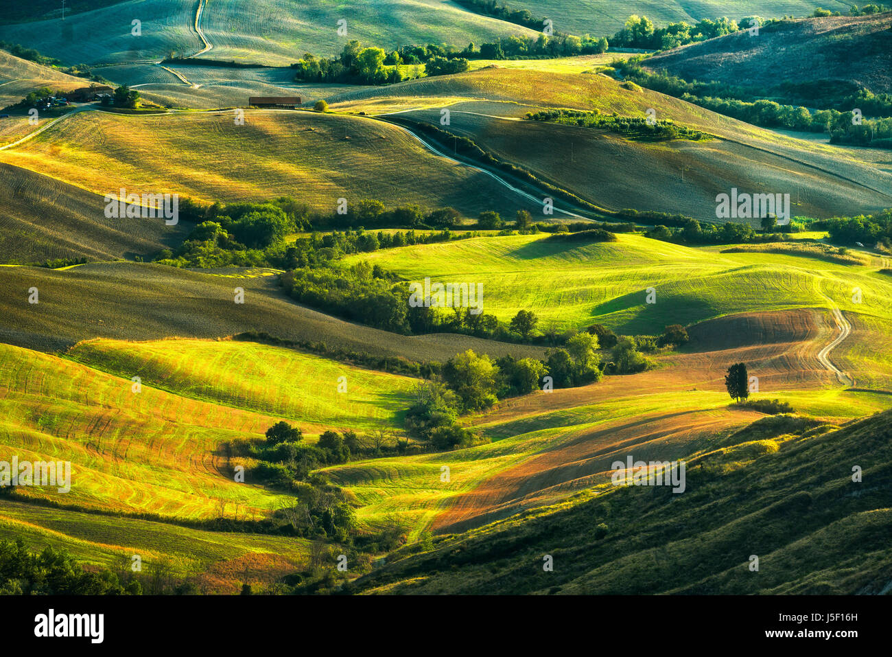 Tuscany, rolling hills on misty sunset. Rural landscape. Green fields and farmlands. Italy