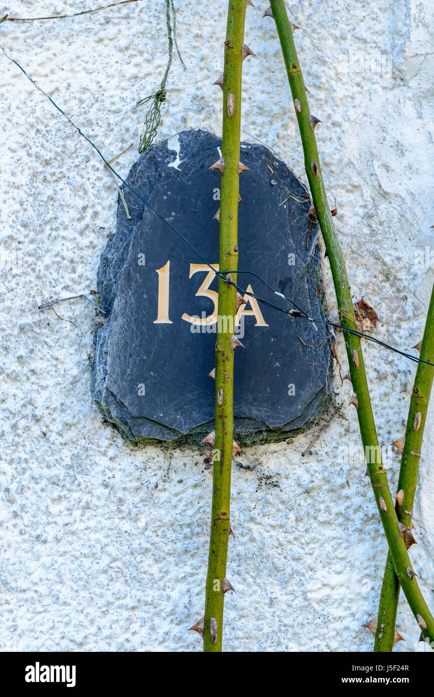House number 13A on slate is fixed to a pebble-dashed wall. Thorn-studded rose stem bisecting the plaque. Stock Photo