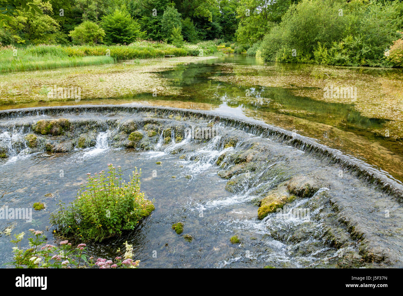 Semi circular weir on the River Lathkill in Lathkill Dale, Derbyshire, Peak District National Park, England, UK Stock Photo
