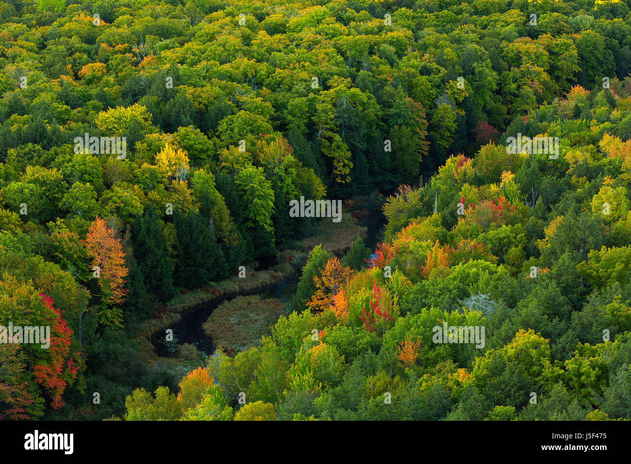The transition to fall in the Porcupine Mountains Wilderness State Park of Michigan's upper peninsula. USA Stock Photo