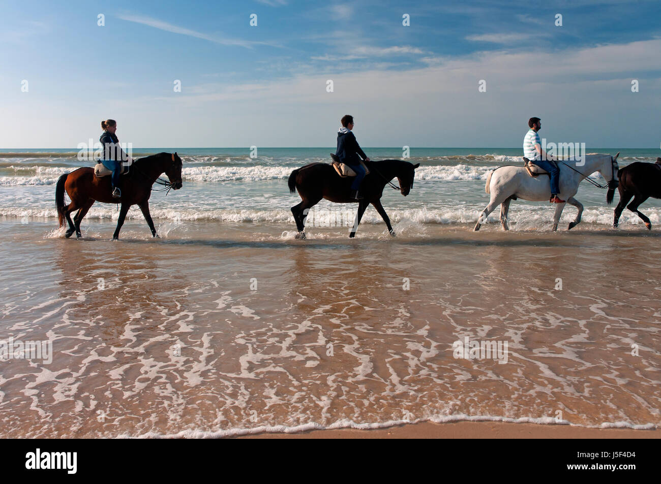 Equestrian tourism on the beach, Donana Natural Park, Matalascanas, Huelva province, Region of Andalusia, Spain, Europe Stock Photo