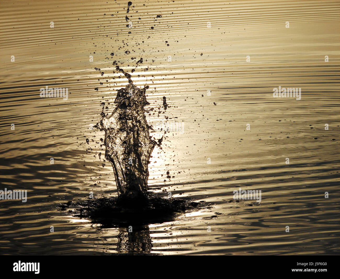 stone mirroring squirt dash setting sun fresh water lake inland water water Stock Photo