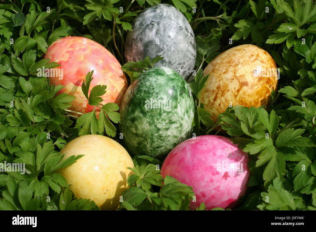 holiday coloured colourful gorgeous multifarious richly coloured easter spring Stock Photo