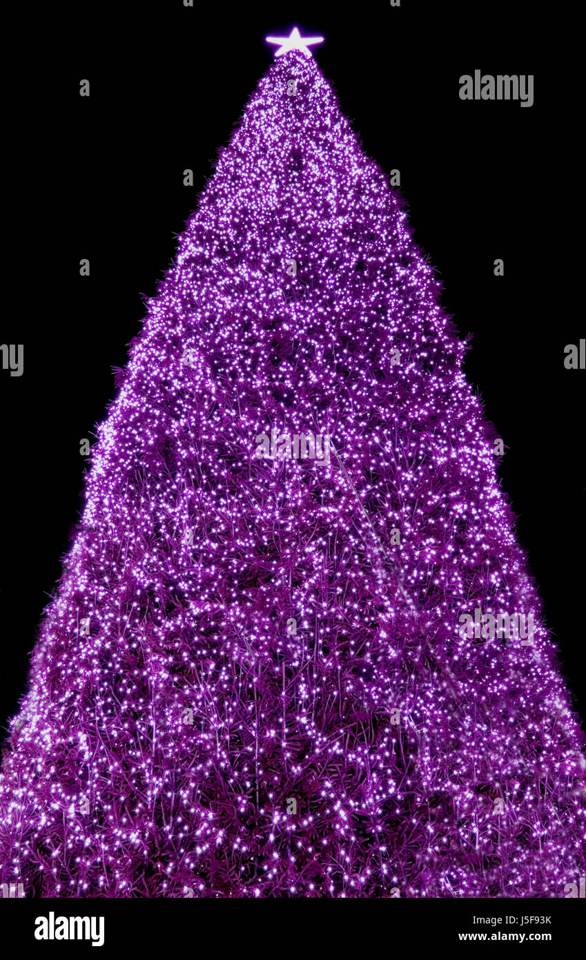 The Christmas Tree Stock Photo Alamy