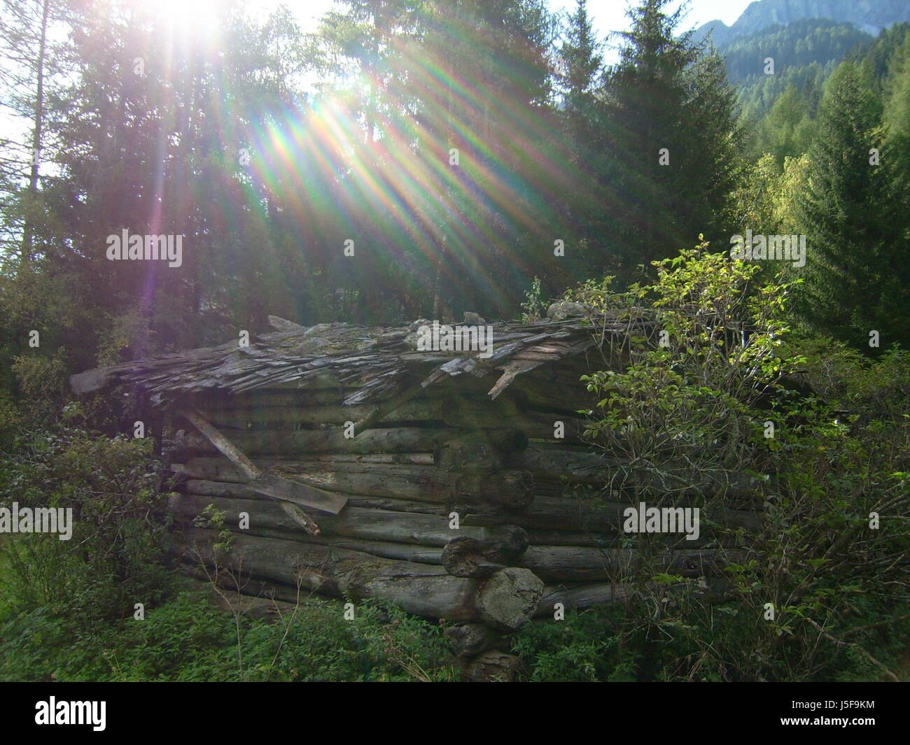 wood,alp,south tyrol,blockhouse,mountain,lodge,hut,old,stadl,baum wiese