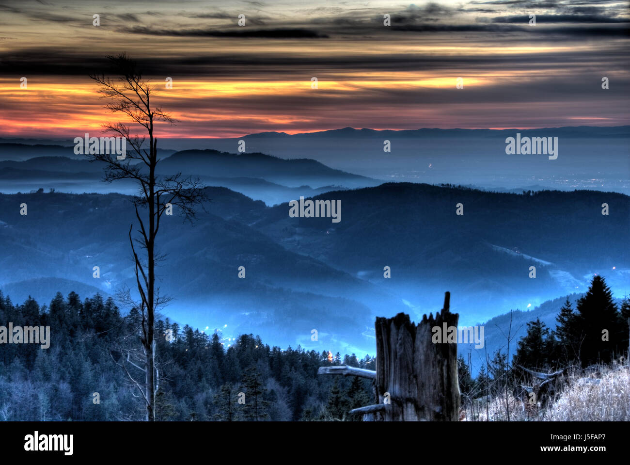 blue tree sunset cloud fog mood evening valley black forest mystic mountain Stock Photo