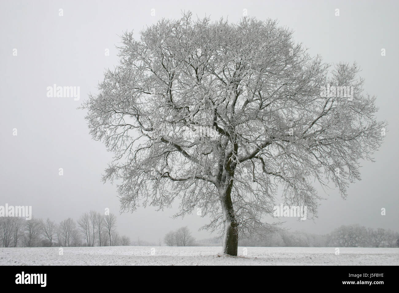 seasons - winter Stock Photo