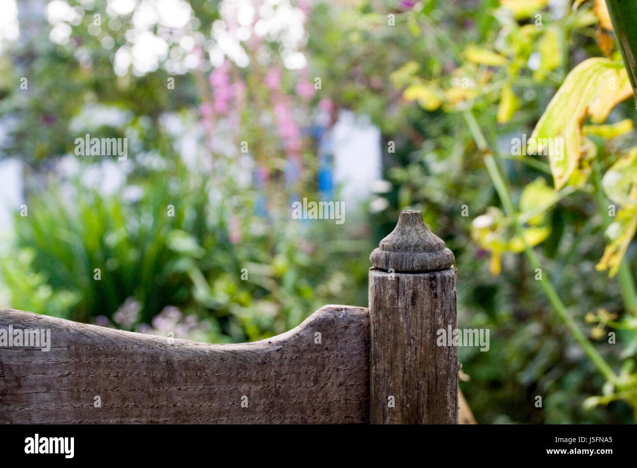 still life garden wood detail admission ailing perspective prospect gardens Stock Photo