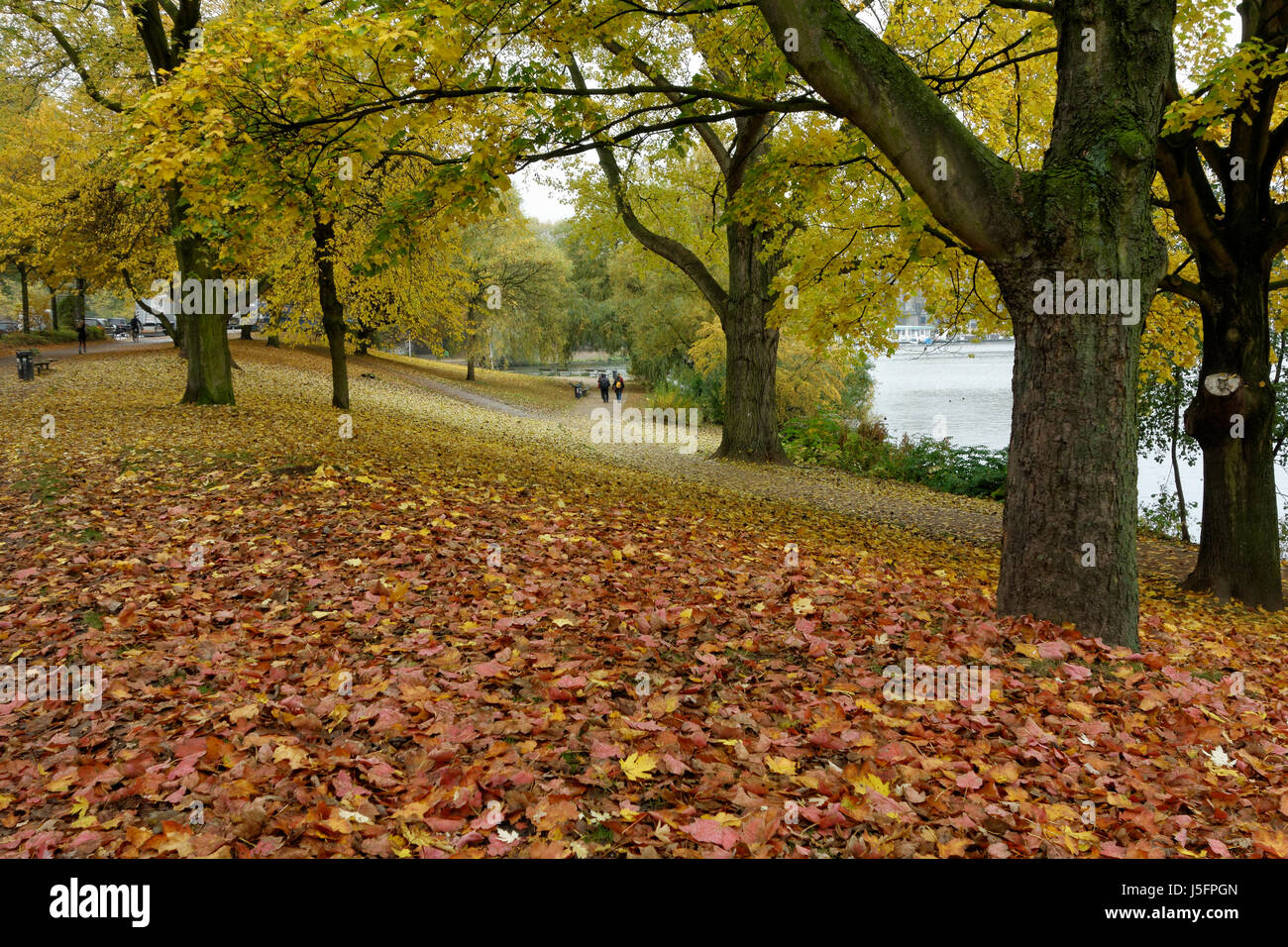 Autumn colours on the banks of An der Alster, Hamburg, Germany. Stock Photo