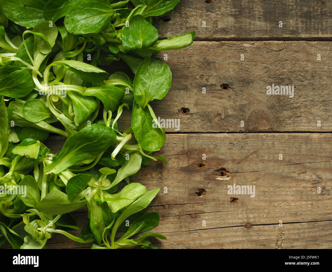 Lambs Lettuce On An Old Rustic Wooden Kitchen Table With Space For Text