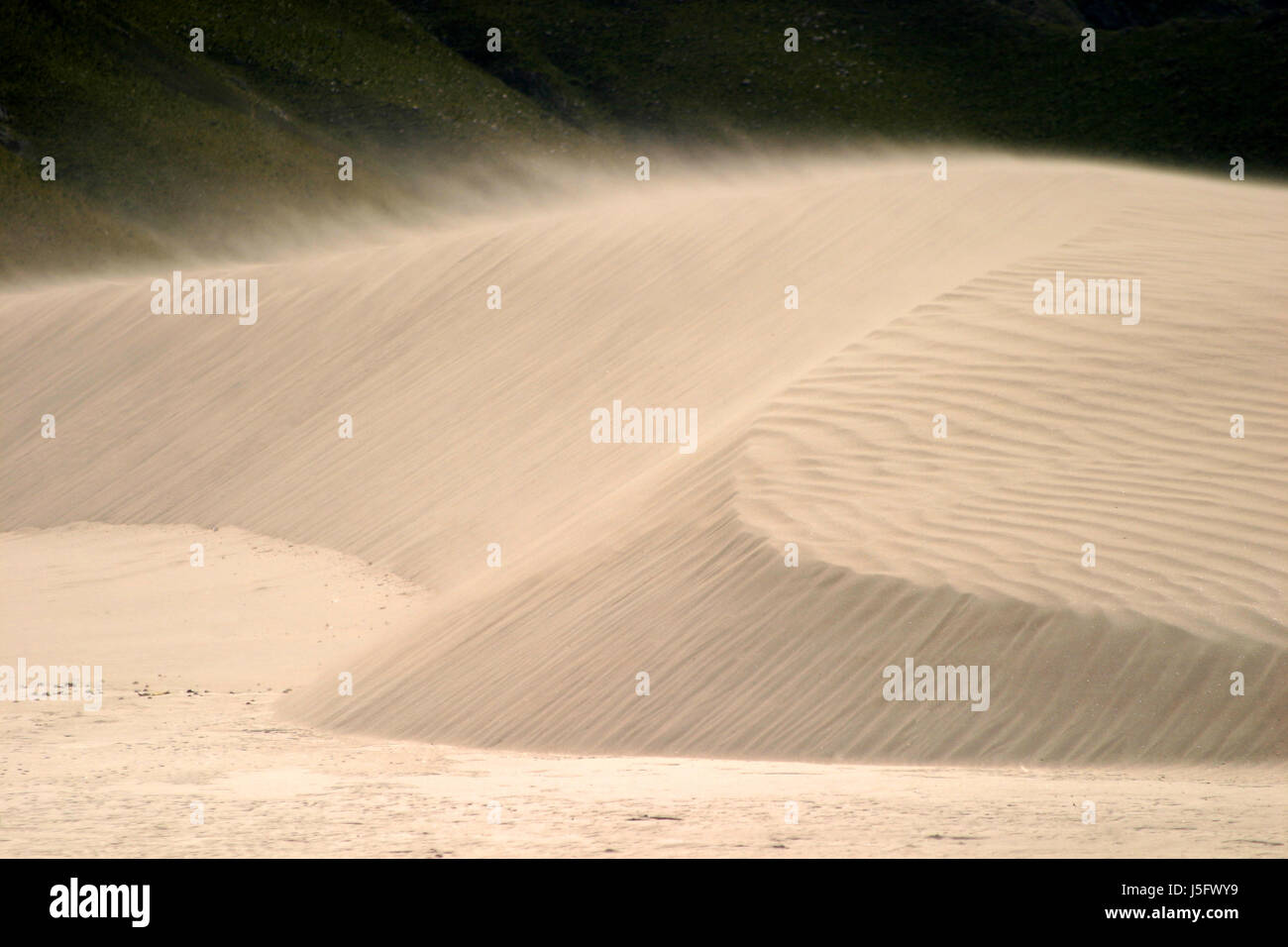 dune (also available in other colors) Stock Photo