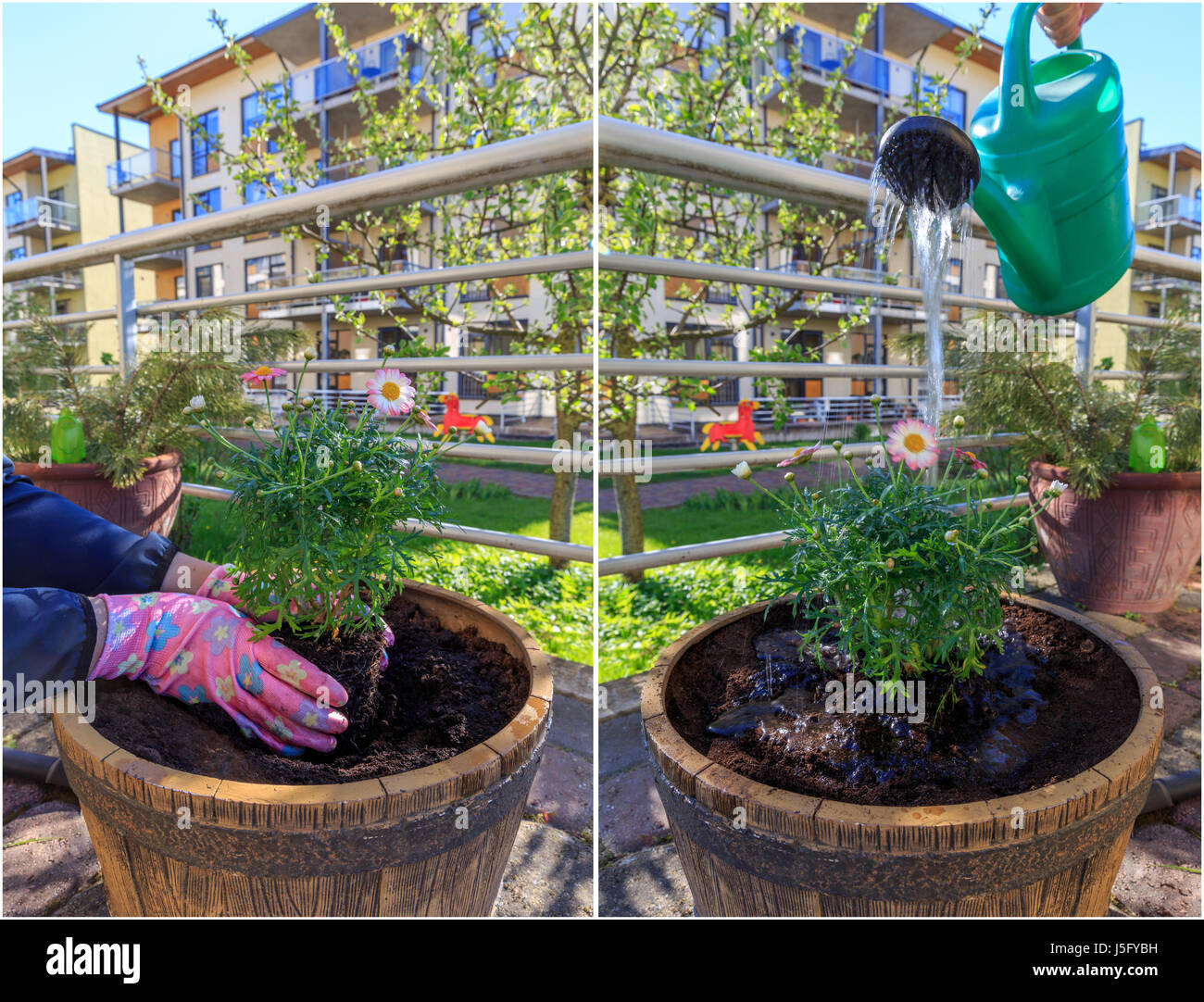 Woman working in the garden Stock Photo - Alamy