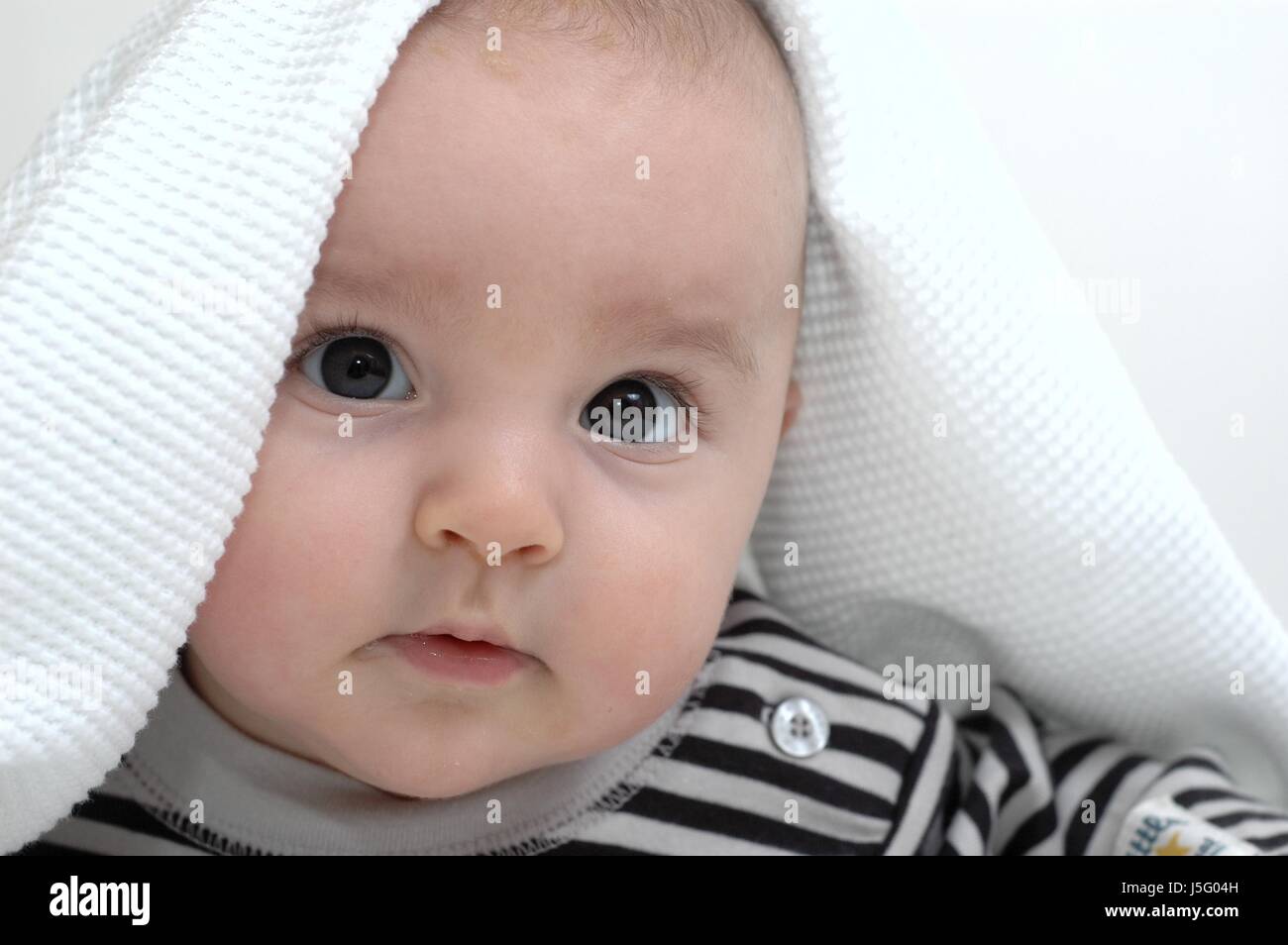 baby under the blanket Stock Photo Alamy