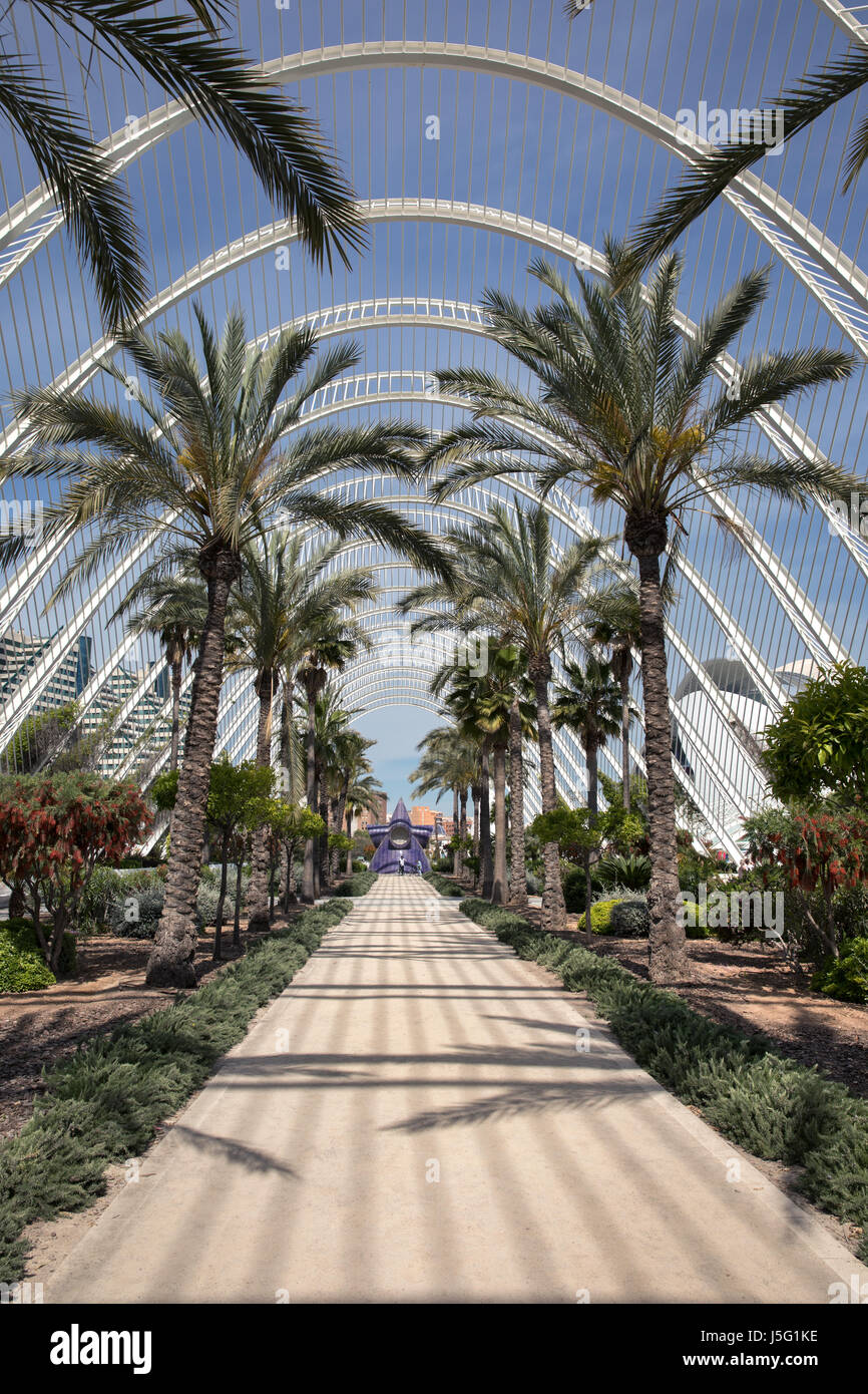 L`umbracle in valencia hi-res stock photography and images - Alamy