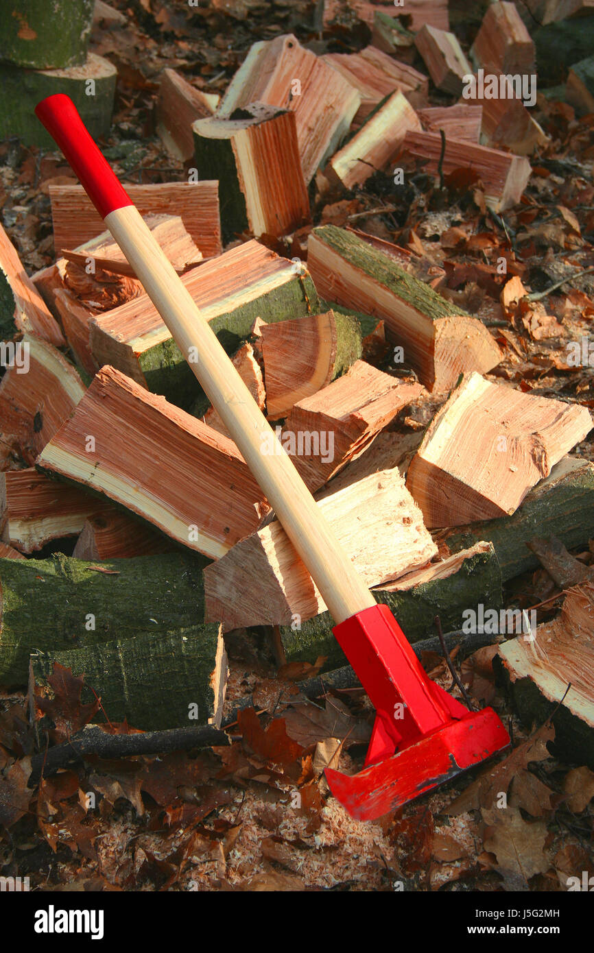 firewood 1 Stock Photo