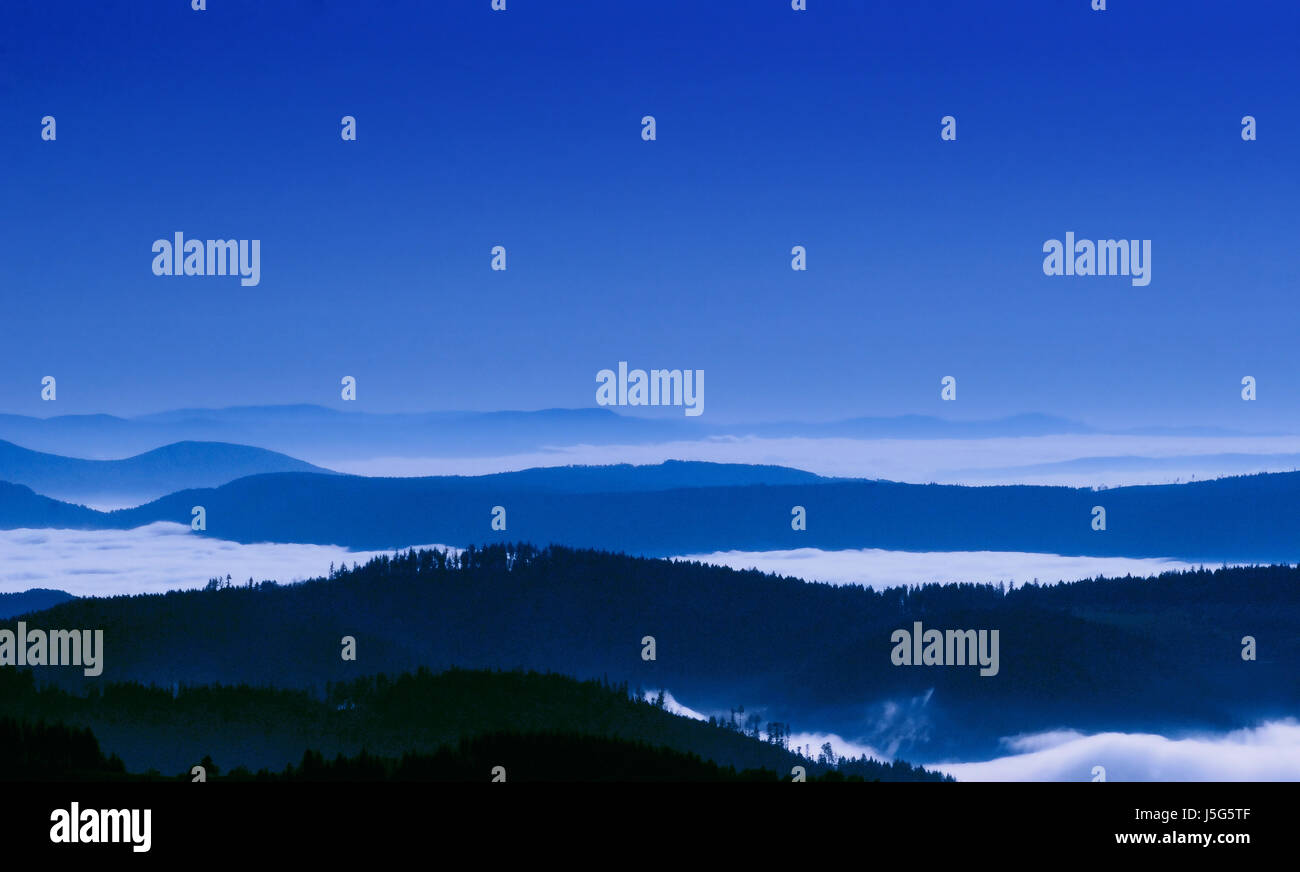 blue black forest Stock Photo