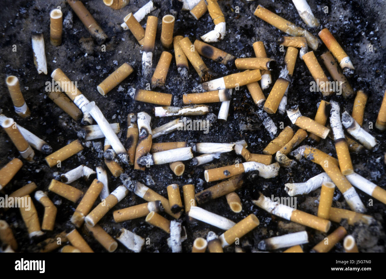 smoke smoking smokes fume health ash ashtray tobacco filter zone lungs Stock Photo