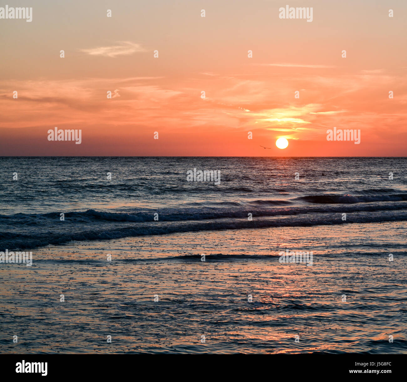 Gorgeous Sunset at St Pete Beach on the Gulf of Mexico in Florida Stock ...