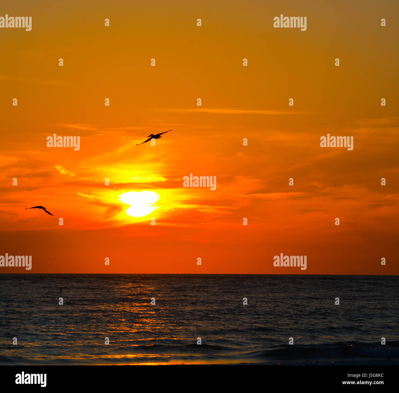 Gorgeous Sunset at St Pete Beach on the Gulf of Mexico in Florida Stock ...