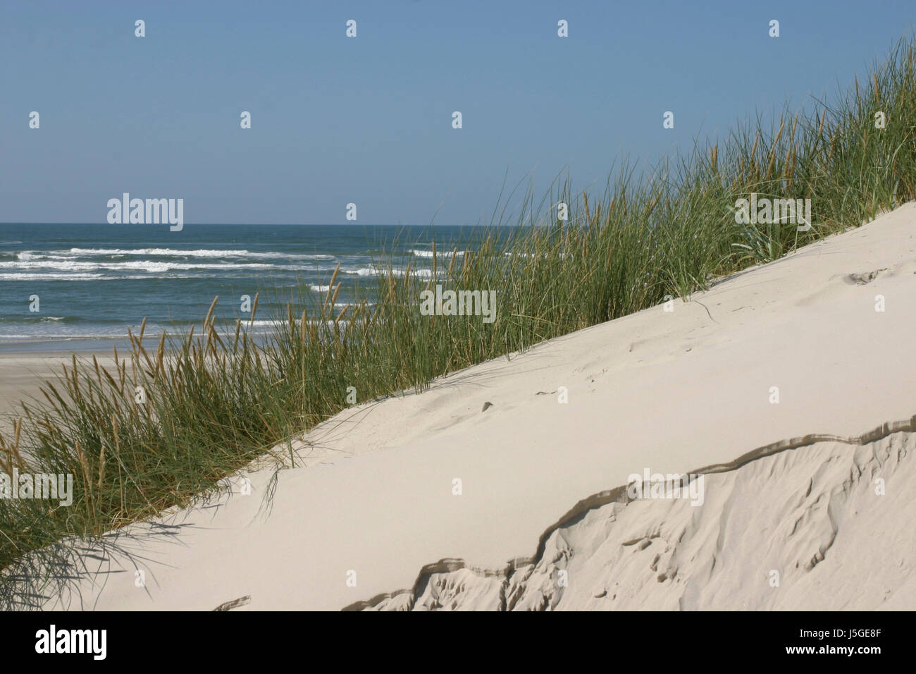 dune with sea in the background Stock Photo