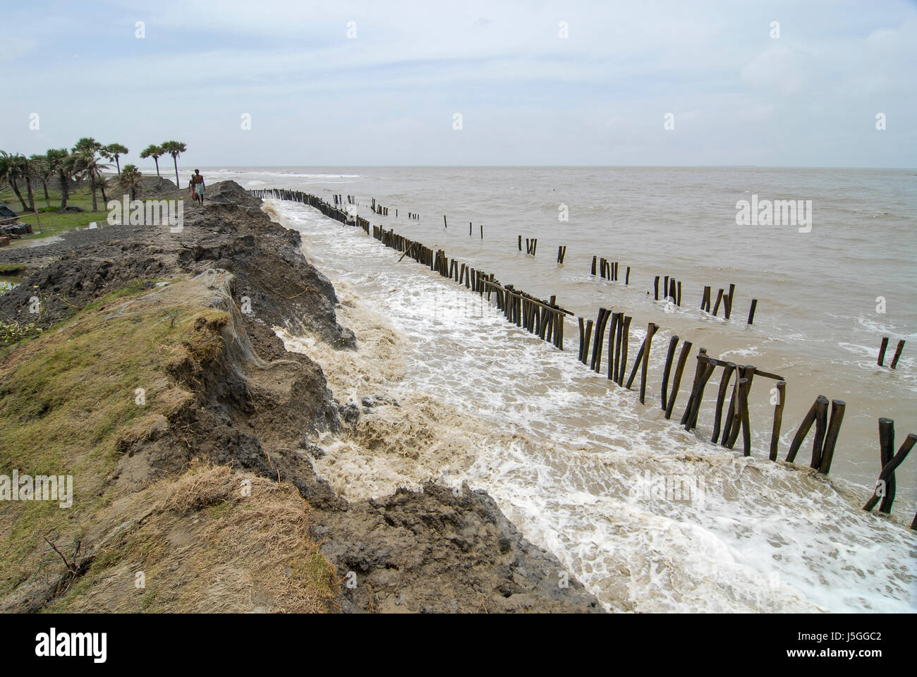 INDIA, West Bengal, Ganges river delta Sundarbans , Sagar Island , broken dyke due to sea erosion and rising sea levels / INDIEN Westbengalen, Gangesdelta Sunderbans , Sagar Island , vom Meer zerstoerter Deich Stock Photo