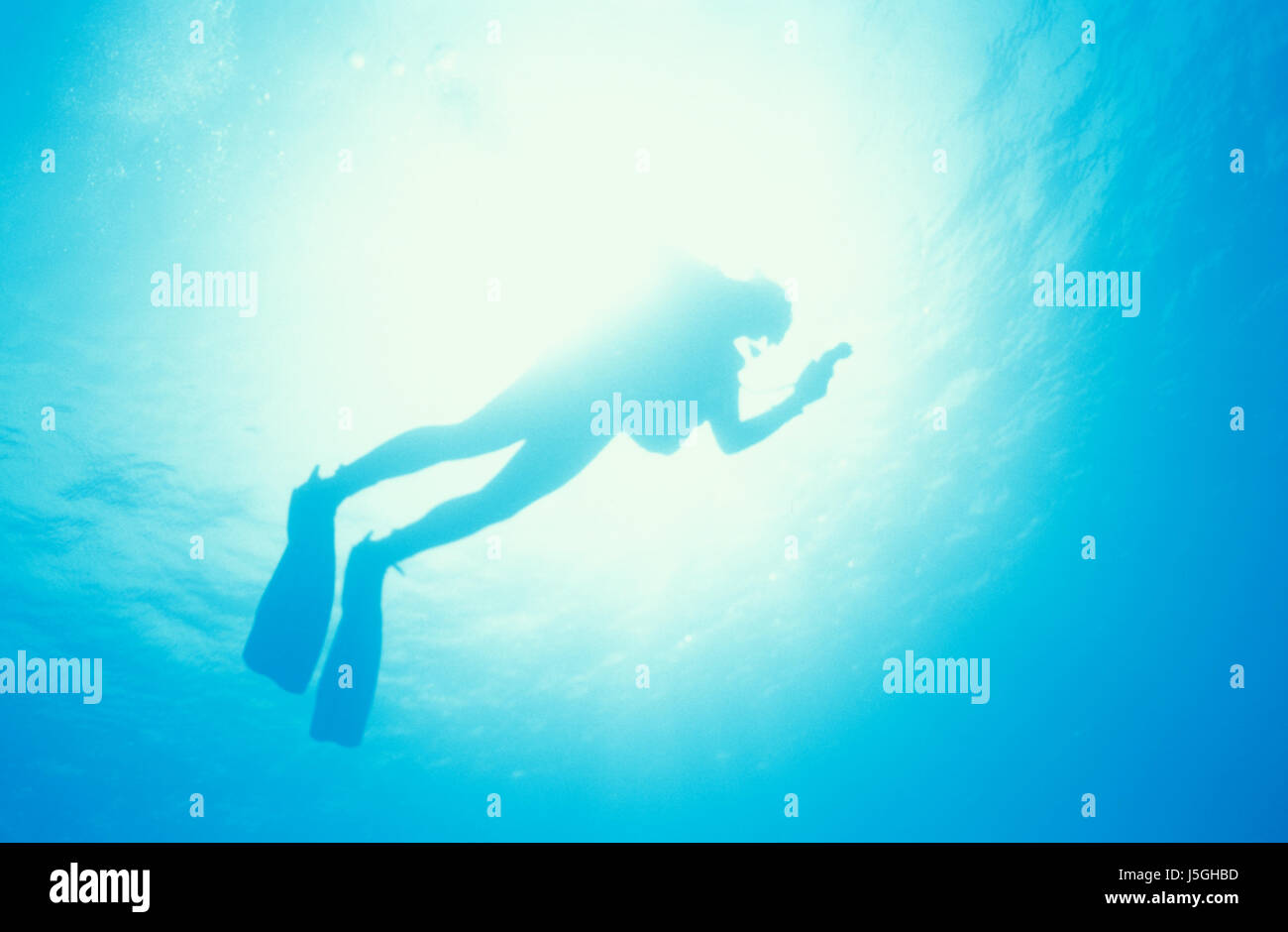 diver in backlight Stock Photo