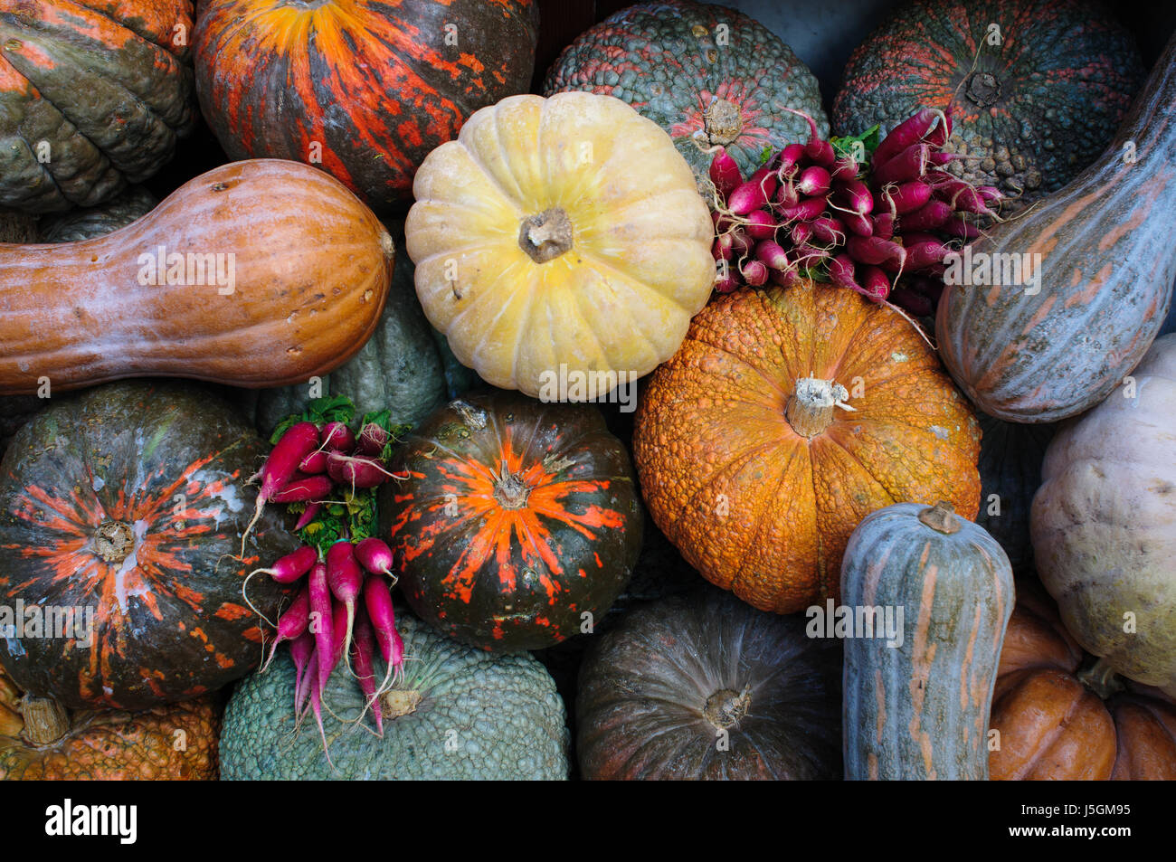 Varieties of pumpkin and radishes in a Barcelona market Stock Photo