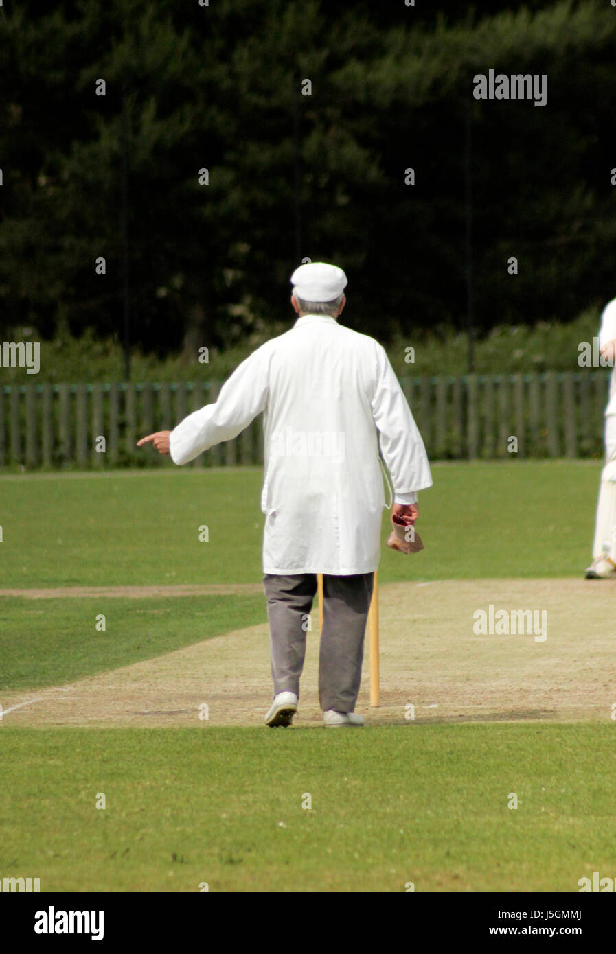 Umpiring an English game of cricket Stock Photo