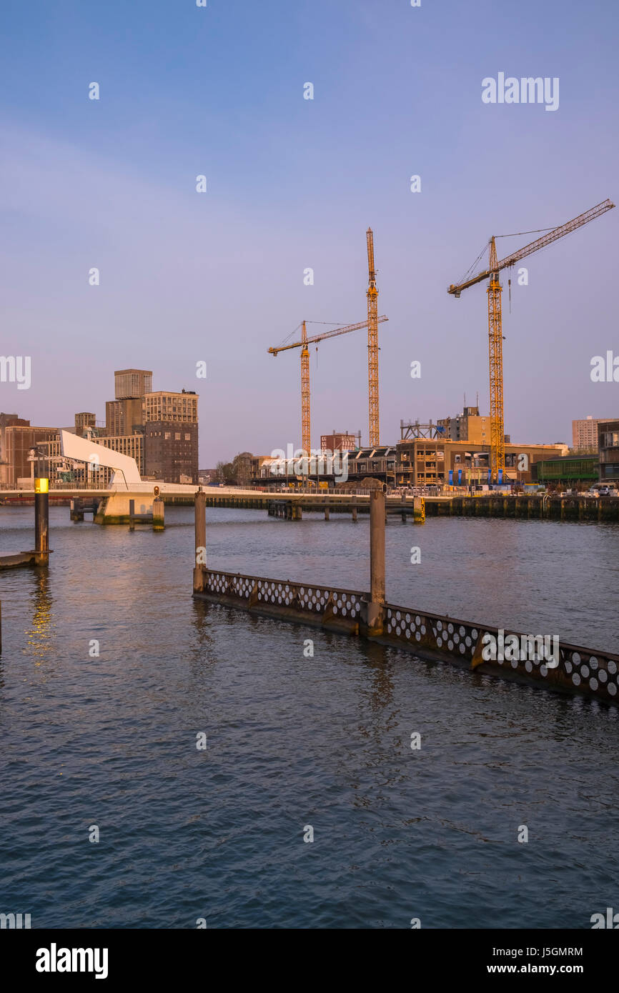 Large cranes for new building developments, Katendrecht, Rotterdam, The Netherlands Stock Photo