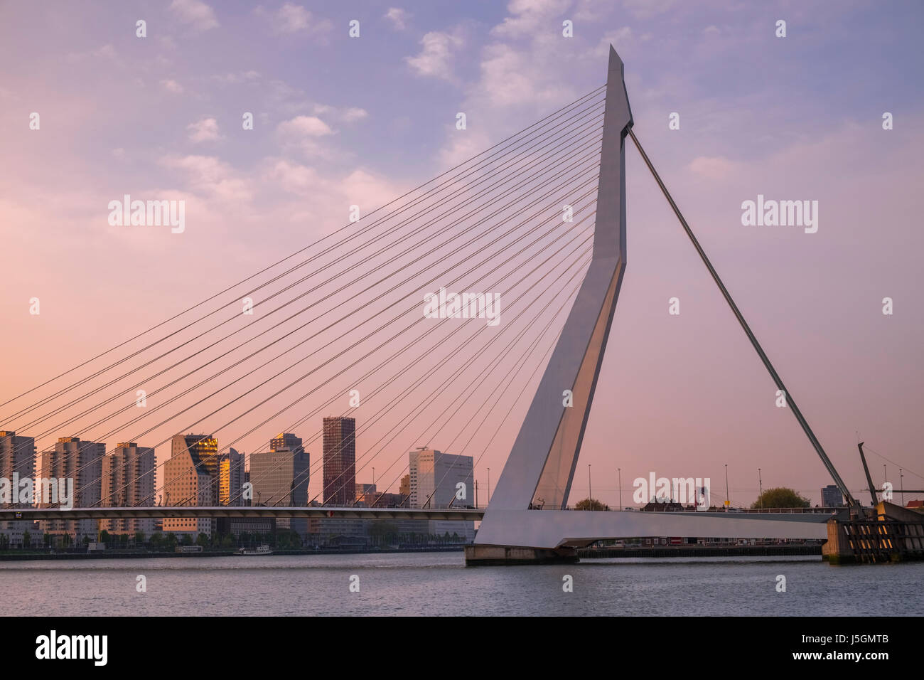 Modern architecture of Erasmusbrug (Erasmus Bridge) and Katendrecht skyline at twilight, Rotterdam, The Netherlands. Stock Photo