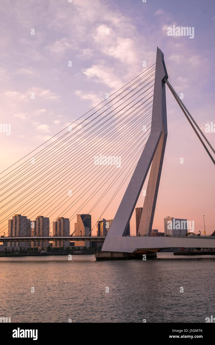 Erasmusbrug (Erasmus Bridge) and Katendrecht skyline at twilight, Rotterdam, The Netherlands. Stock Photo