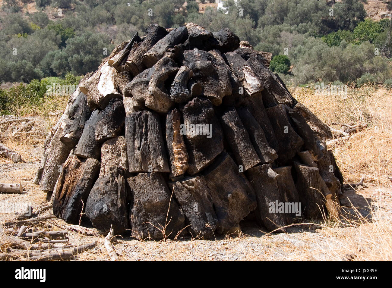 wood woods fire conflagration fen coal charcoal heat temperature globe